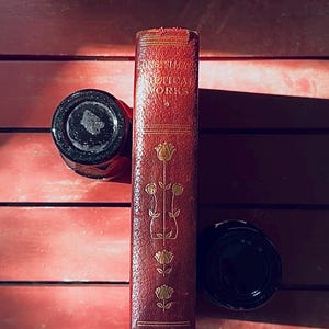 Ancien livre de poésie Henry Wadsworth Longfellow relié en cuir