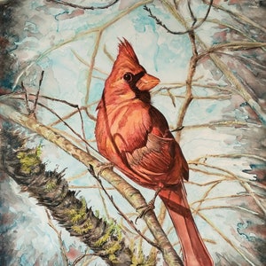 Red Cardinal in Nature Watercolor Painting