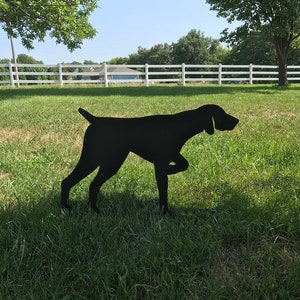 May include: Black metal silhouette of a dog standing in a grassy field. The dog is facing to the right and has its head tilted down. The silhouette is a yard decoration.