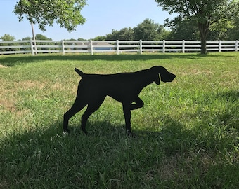 German Shorthaired Pointer (for outside or inside) - some assembly required
