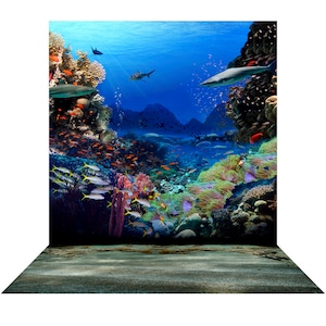 Arrecife de coral con tiburones, Fondo oceánico, Fondo submarino, Sirena, Buceo, Fondo oceánico, Fondo con tiburones, Feria comercial, Fondo fotográfico