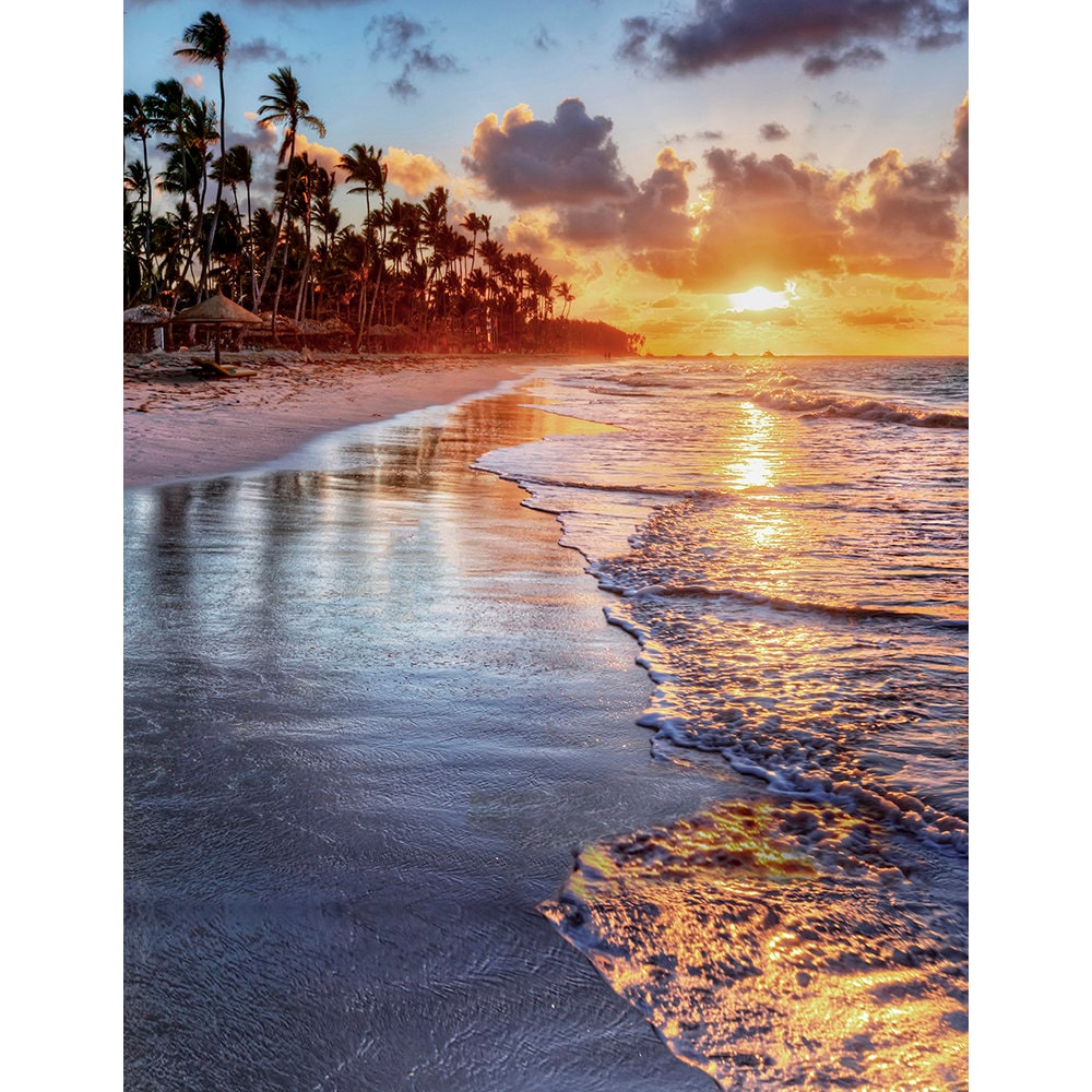 Sunset Beach Palm Trees Photo Backdrop for Outdoor Tropical - Etsy