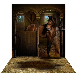 Cowboy, Cowgirl, Horse Portrait Backdrop, Country Music for Sadies, a Country Dance Hall Photo Backdrop for Sets, Dances, Photo Booths