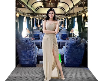 Orient Express Blue Interior Backdrop, Murder Mystery Party Decor