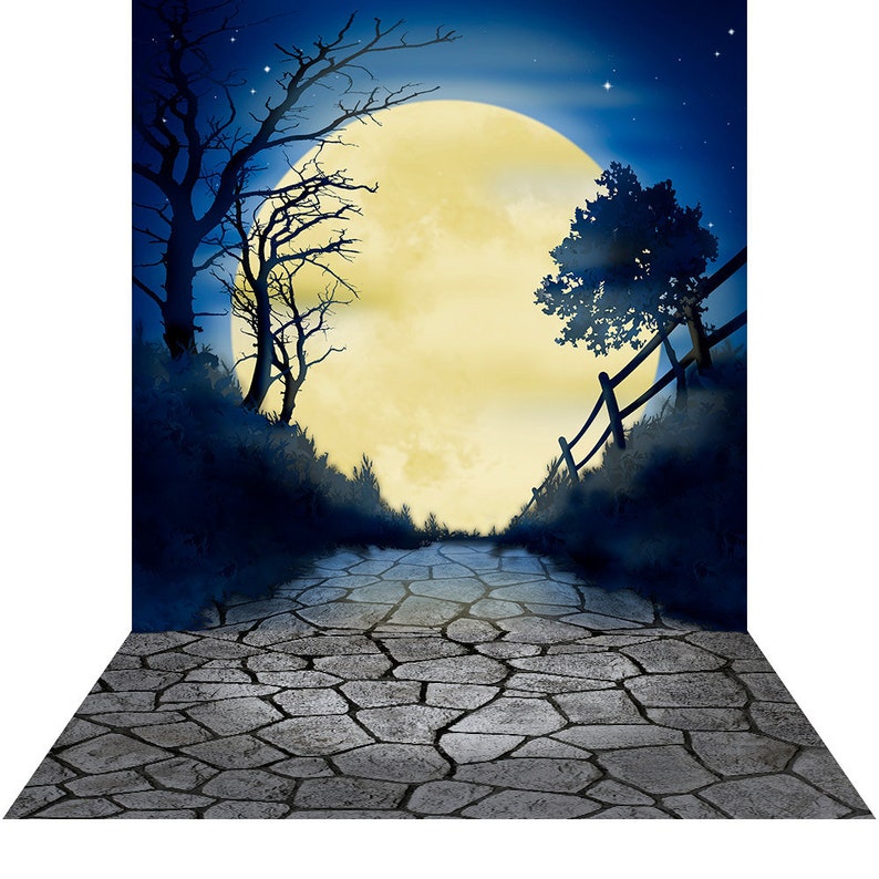 Halloween Moon Hocus Pocus Backdrop Witch Moon Full Moon Etsy