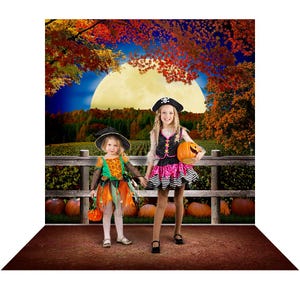 The Great Pumpkin - Pumpkin Patch Backdrop - Pumpkins - Trick or Treat - Backdrop - Full Moon - Charlie Brown - Photo Backdrop