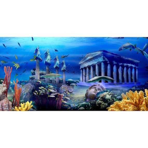 Undersea Backdrop (Pack of 6)並行輸入 Summer Undersea Landscape Coral Combo Set Backdrop - Aperturee