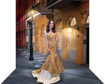 New Orleans Backdrop, Mardi Gras Banner, Photo Booth Prop, Bourbon Street Photography Background