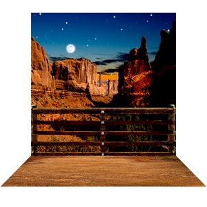 May include: A scenic view of a desert canyon at night with a full moon and stars in the sky. A wooden fence with horizontal rails is in the foreground. The scene is framed by a wooden floor.