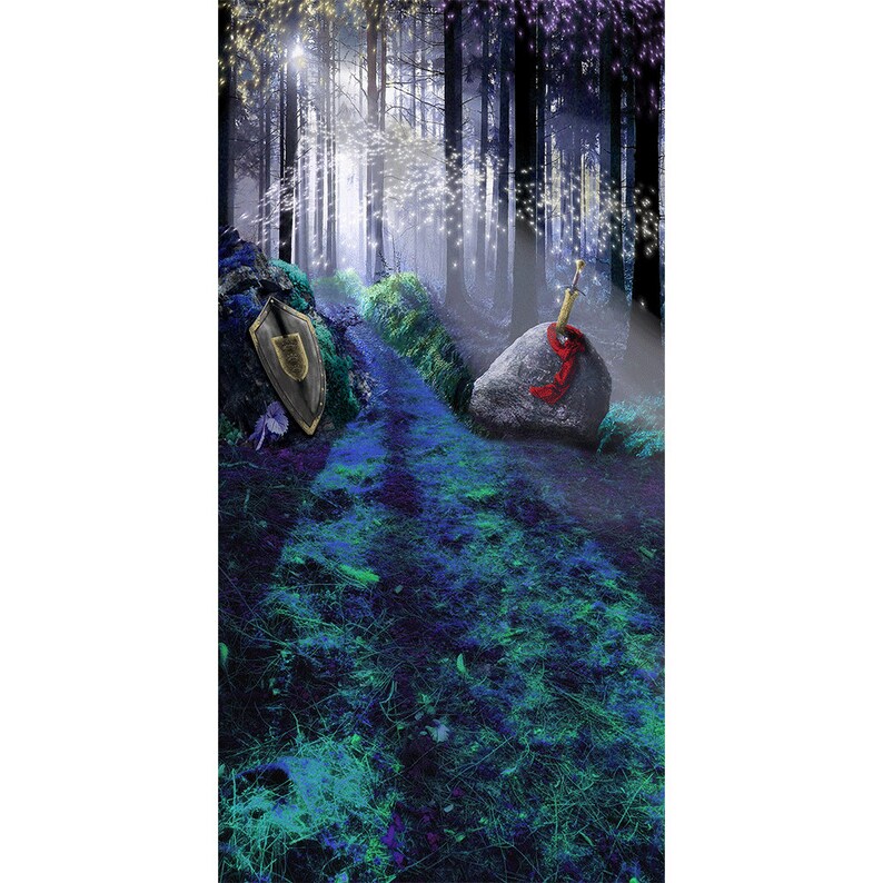 Sword in Stone Backdrop, Enchanted Forest, King Arthur Party Fabric ...