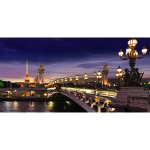 Paris Bridge, Eiffel Tower Photography Backdrop, France Theme Party ...