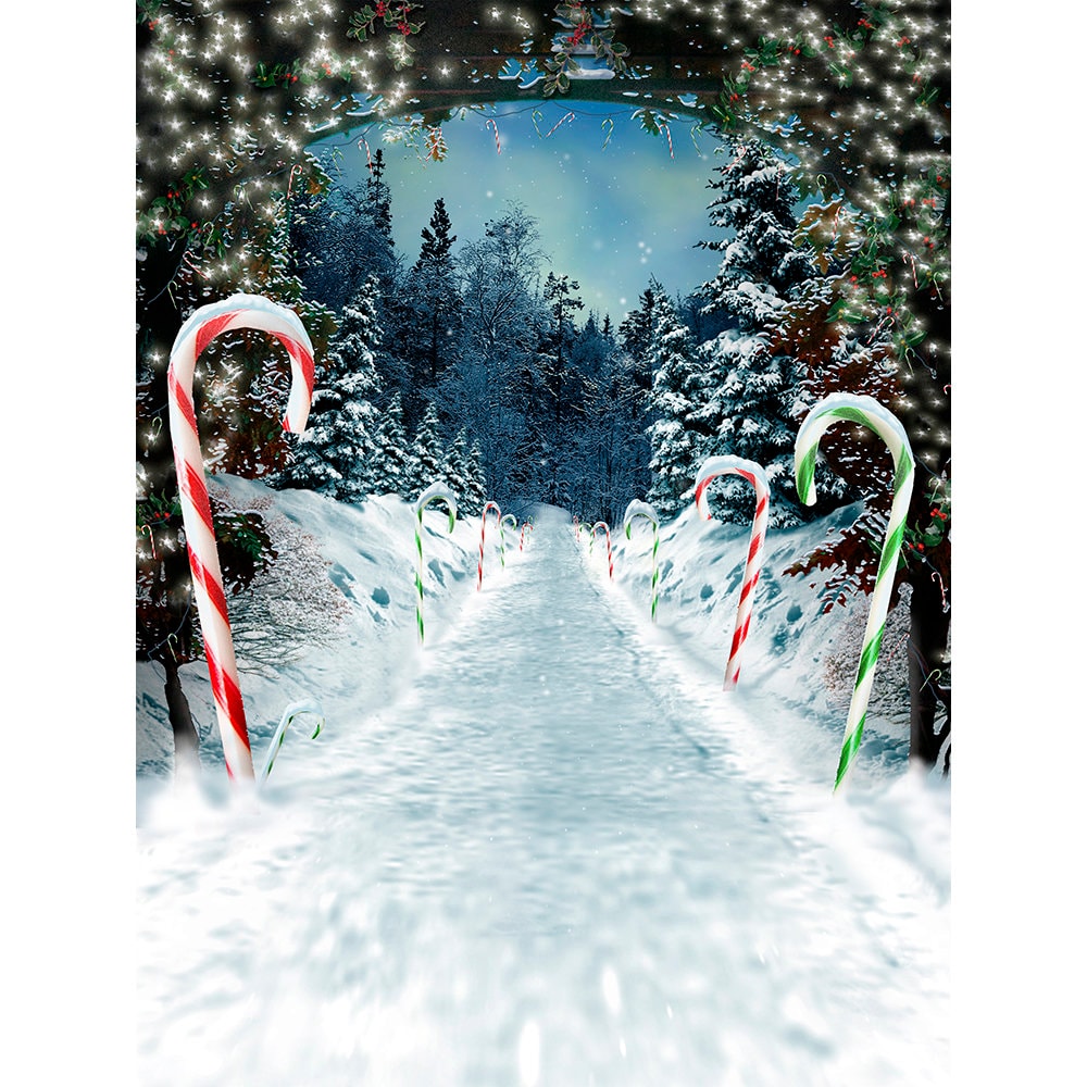 Snow Peppermint Lane Christmas Backdrop A Candy Cane Backdrop Etsy