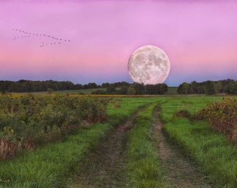 Super Blue Moon