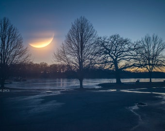 Full Moon, on Lake Leota, Evening with dark blue skies, wall art, fine art photography, archival pigment print, image overlay, black trees