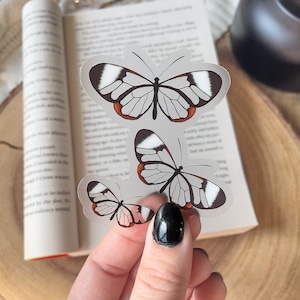 Butterfly Waterproof Sticker | Nature Insect Laptop and Water Bottle Sticker | Glass Wing Butterfly Sticker |  3&quot;x2.8&quot;