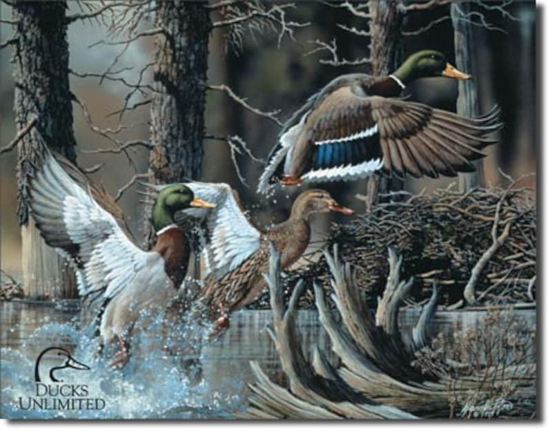 Guns Ducks Wetlands Conservation Retro Tin Gun Sign Man Cave Home Gift USA 12/"