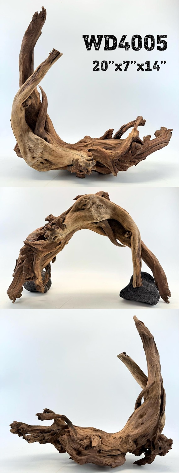 Driftwood_x-large_1 of 3 / Aquarium Décor / Terrarium / Reptile
