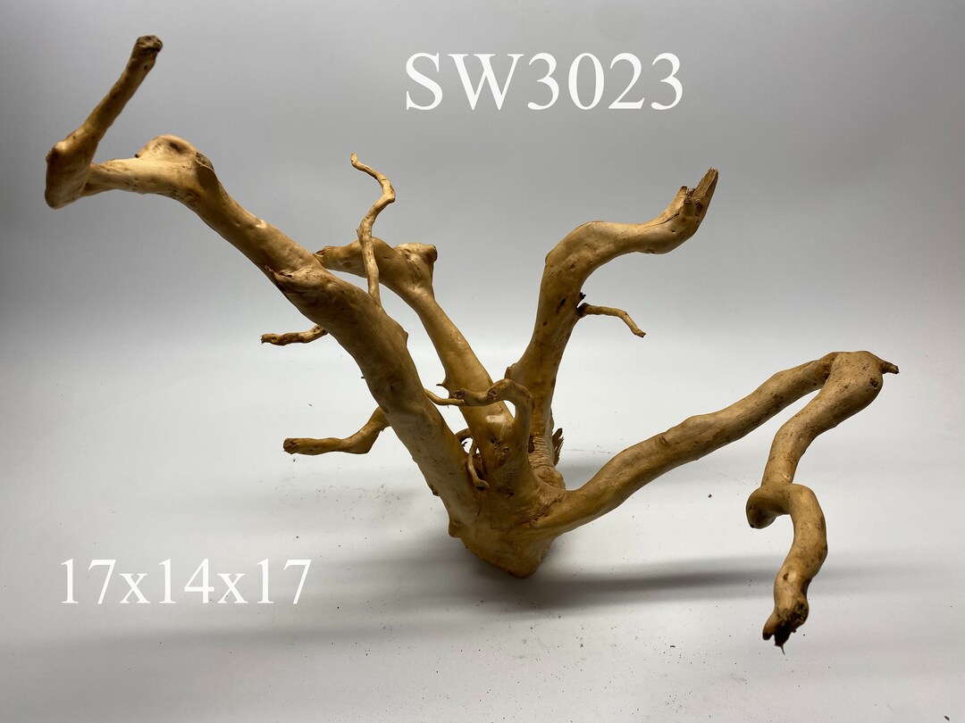 Large Spider Wood 2 of 2 / Aquarium Décor / Terrarium / Reptile Tank