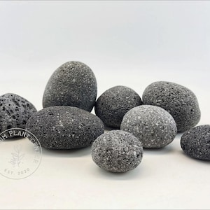 Black Star Lava Rock / Planted Aquarium / Decoration / Hardscape / Aquarium Décor /Natural Stone / Natural Aquarium
