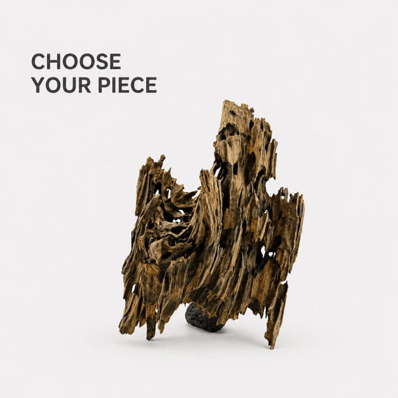 Malaysian Driftwood (choose Your Piece) – Individual Aquarium Wood