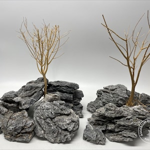 Premium Seiryu Stone / Planted Aquarium / Decoration / Hardscape