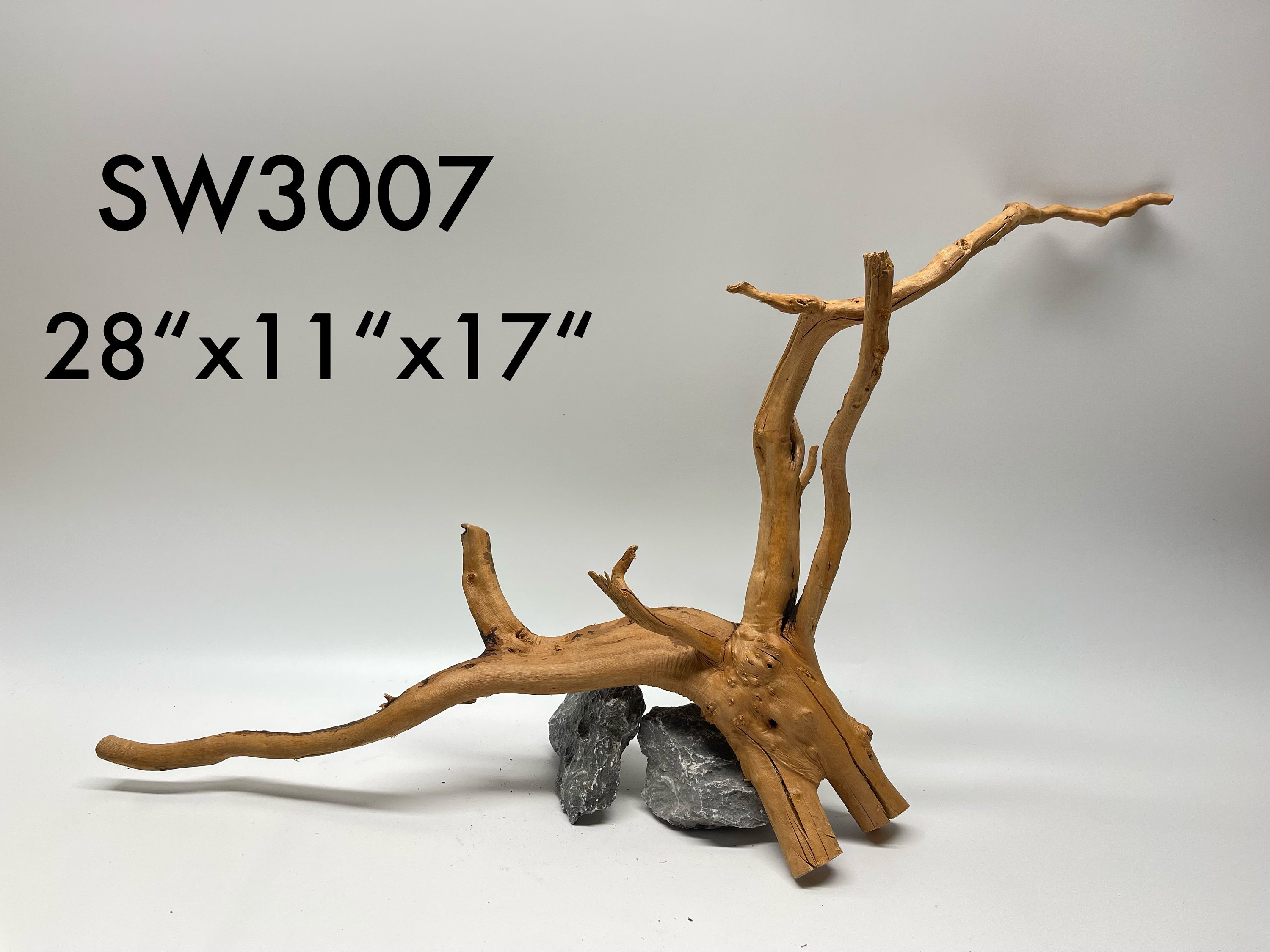 Large Spider Wood 1 of 2 / Aquarium Décor / Terrarium / Etsy