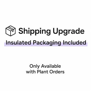 Shipping Upgrade + Insulated Packaging,  Not Sold Separately (Only with Plant Order)