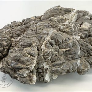 May include: A large, gray and white rock with a rough, textured surface. The rock has a natural, organic shape and would be a great addition to an aquarium or terrarium.
