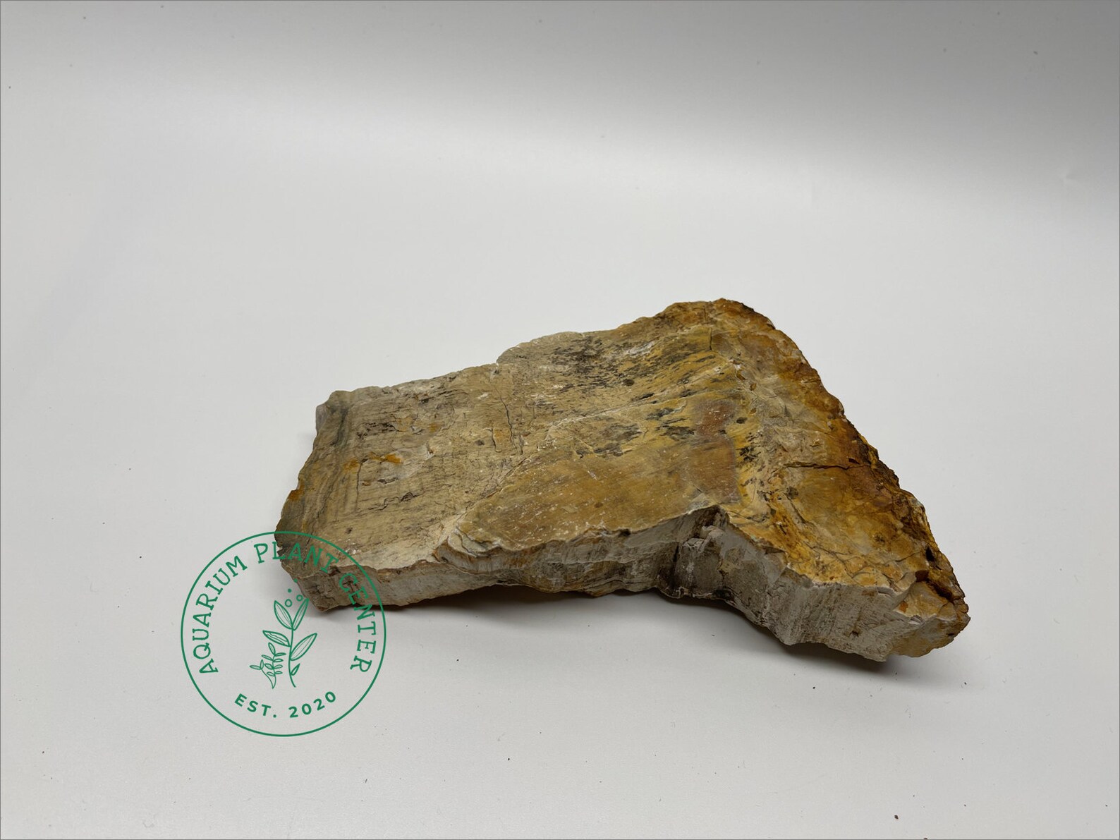 Petrified Wood Stone / Planted Aquarium / Decoration / Etsy