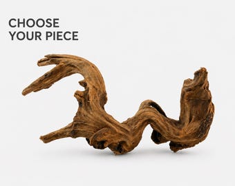 Driftwood_Medium_1 of 3/ Aquarium Décor / Terrarium / Reptile Tank / Aquascaping / Planted Aquarium