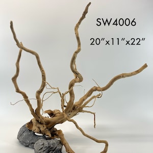 Spider Wood_Extra Large / Aquarium Décor / Terrarium / Reptile Tank / Aquascaping / Planted Aquarium