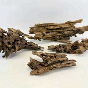 Malaysian Driftwood / Shrimp Wood / Aquarium Décor / Terrarium / Shrimp Tank / Aquascaping / Planted Aquarium
