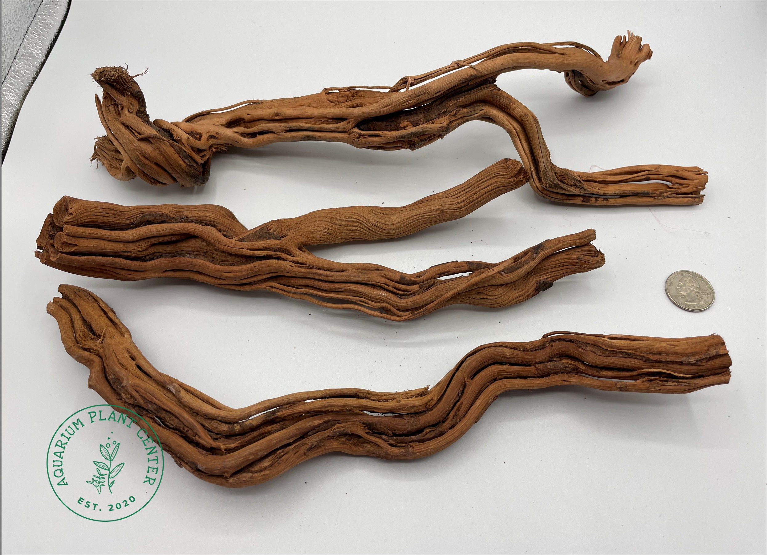 reptile wood in aquarium