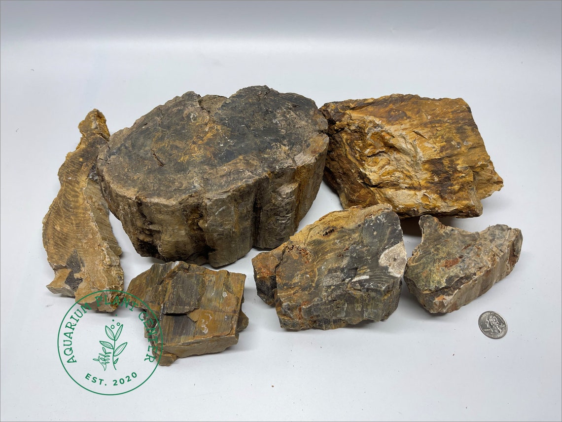 Petrified Wood Stone / Planted Aquarium / Decoration / Etsy