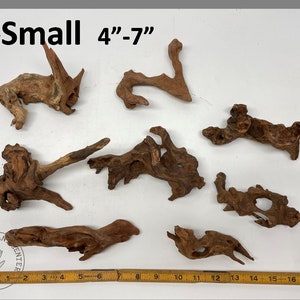 May include: Seven pieces of brown driftwood, ranging in size from 4 to 7 inches, arranged on a white surface with a ruler for scale.  X-Small 4"-7" is written in black text at the top of the image.