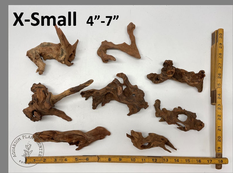 May include: Seven pieces of brown driftwood, ranging in size from 4 to 7 inches, arranged on a white surface with a ruler for scale.  X-Small 4"-7" is written in black text at the top of the image.