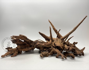 Driftwood / Decoración de acuarios / Terrario / Tanque de reptiles / Aquascaping / Acuario plantado