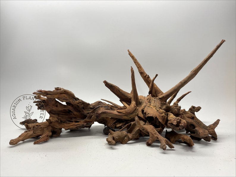 May include: A large, brown, natural driftwood branch with a unique, spiky, and twisted shape. The driftwood is perfect for use in aquariums or terrariums.