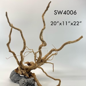 Spider Wood / Aquarium Décor / Terrarium / Reptile Tank / Aquascaping / Planted Aquarium