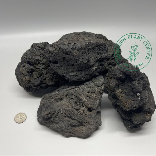 black volcanic rock aquarium