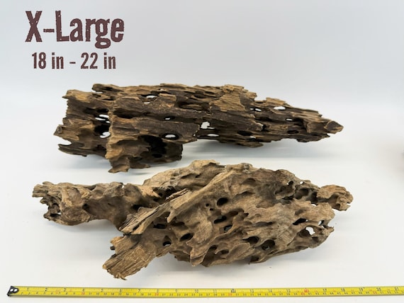 Malaysian Driftwood / Shrimp Wood / Aquarium Décor / Terrarium