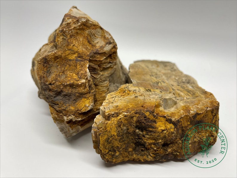 Petrified Wood Stone / Planted Aquarium / Decoration / Etsy