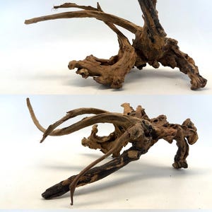 Driftwood_Large_1 of 3 / Aquarium Décor / Terrarium / Reptile Tank / Aquascaping / Planted Aquarium