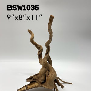 Small Black Spider Wood / Aquarium Décor / Terrarium / Reptile Tank / Aquascaping / Planted Aquarium / BS1001-BS1010