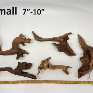 May include: Five pieces of brown driftwood, ranging in size from 7 to 10 inches. The driftwood is arranged on a white surface with a ruler for scale.