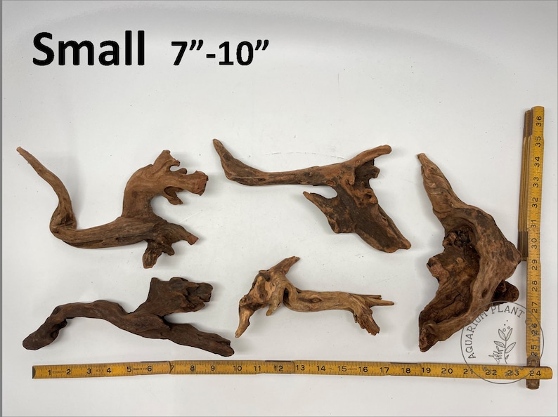 May include: Five pieces of brown driftwood, ranging in size from 7 to 10 inches. The driftwood is arranged on a white surface with a ruler for scale.