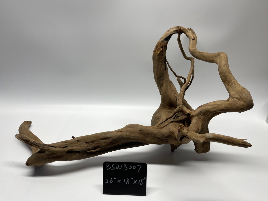 Large Black Spider Wood / Aquarium Décor / Terrarium / Reptile Tank