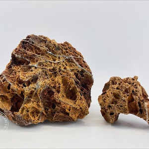 May include: Two pieces of brown and orange porous rock with a rough, textured surface. The rocks have a natural, organic look and would be suitable for use in a terrarium or aquarium.
