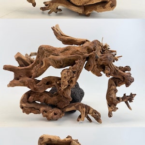 Driftwood_Medium_1 of 3/ Aquarium Décor / Terrarium / Reptile Tank / Aquascaping / Planted Aquarium