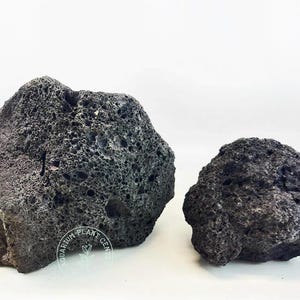 May include: Two dark gray lava rocks, one larger than the other, with a rough, porous texture. The rocks are on a white surface.